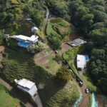 Armas 3D y cocaína en una mansión de Uvita: el narco se asienta en la costa turística del Pacífico Sur