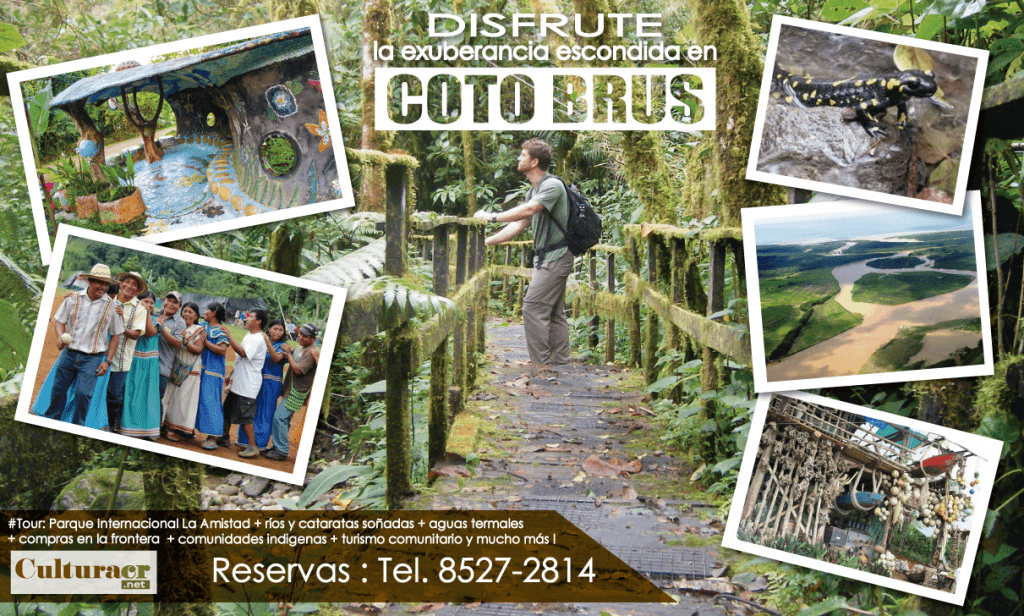 coto brus2