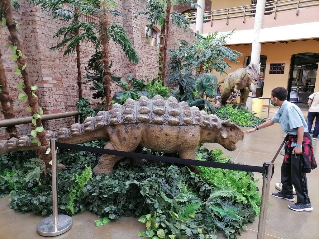 La "Sala STEAM" es la nueva atracción educativa del Museo de los Niños 6 Sala STEAM en Museo de los Niños