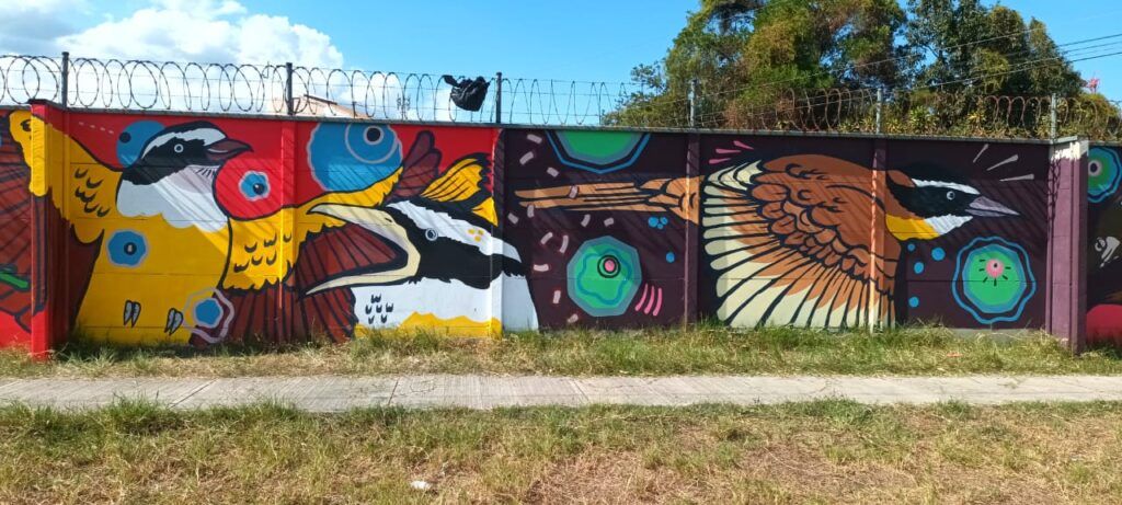 Guararí de Heredia se llena de color e ilusión con los nuevos murales de su colegio 16 WhatsApp Image 2024 05 16 at 2.06.17 PM