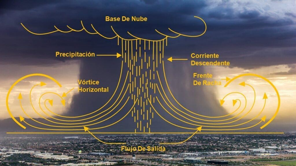 fenomeno cartago IMN